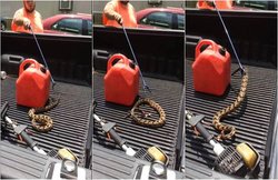 सिर कटे सांप ने शख्स पर बोला हमला, देखें हैरान कर देने वाला वीडियो