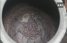 odisha