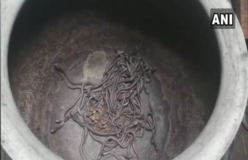 odisha