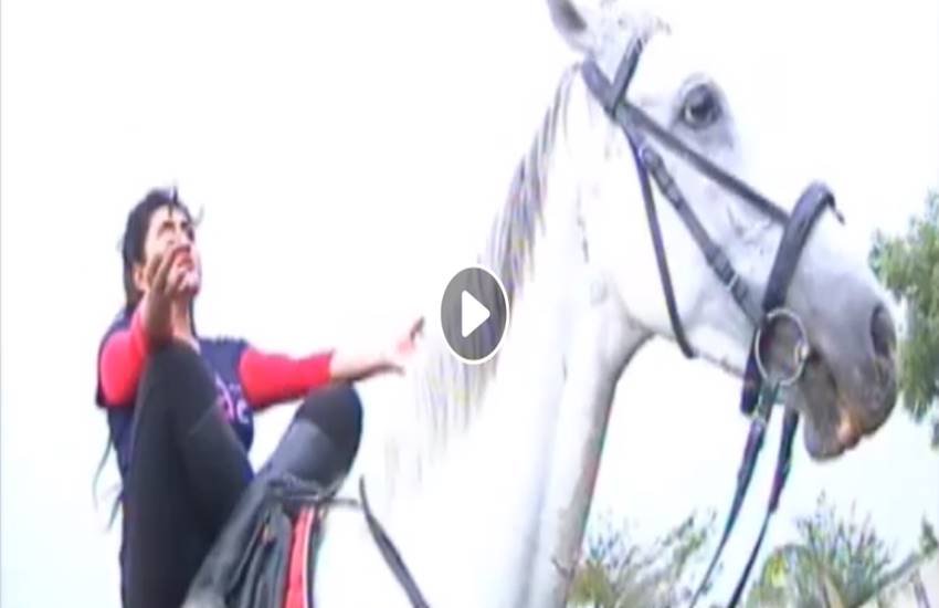 विश्व योग दिवस के मौके पर घोड़े पर बैठकर योग करती लड़की।