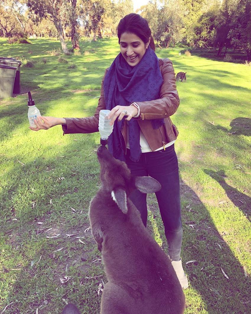 d'arenberg cube australia, Sagarika ghatge, Zaheer Khan, Zaheer Khan Holidays, Cricketer Zaheer khan with wife, actress sagarika ghatge
