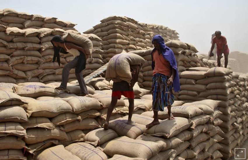 wheat, wheat sack, rain, mansoon, Madhya pradesh, mp minister, shiv charan patel madhya pradesh, Hindi news, News in Hindi, Jansatta