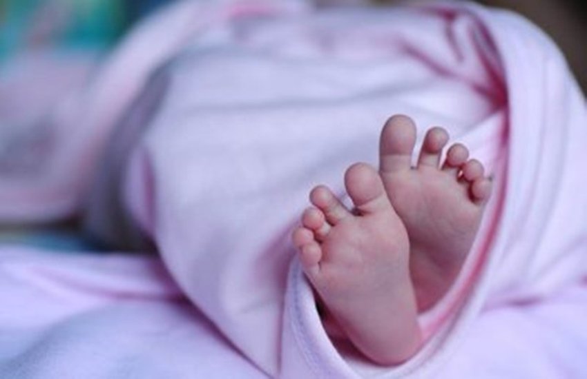 तस्वीर का प्रयोग प्रतीक के तौर पर किया गया है। (एक्सप्रेस फाइल फोटो)