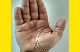 Y Mark on Palm, Y Mark on Palm facts, Y Mark on Palm unknown facts, Y Mark on Palm benefits, Y Mark on Palm, Y Mark on Palm and money, Financial Status, Financial Status facts, Financial Status and hastrekha, religion news
