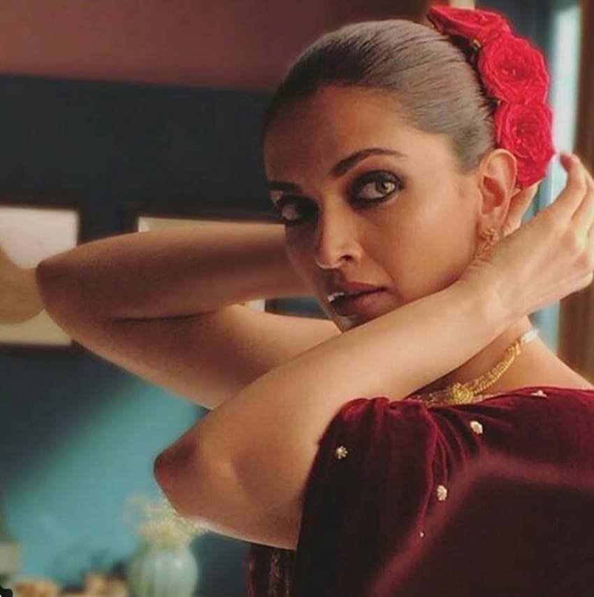 deepika padukone in mehroon saree, deepika padukone tie rose on bun, deepika padukone look stunning in latest pictures, here are gorgeous actress deepika photos, television news, entertainment news, bollywood news, television news,entertainment news, bollywood news, television news, television news, entertainment news, bollywood news, television news,entertainment news, bollywood news, television news