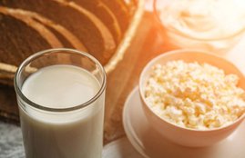 Curd And Cheese, Curd And Cheese facts, Curd And Cheese benefits, Curd And Cheese in religion, Curd And Cheese astrology, Astrology, Astrology facts, Astrology about curd, Beneficial To Eat, Astrology about cheese, religion news
