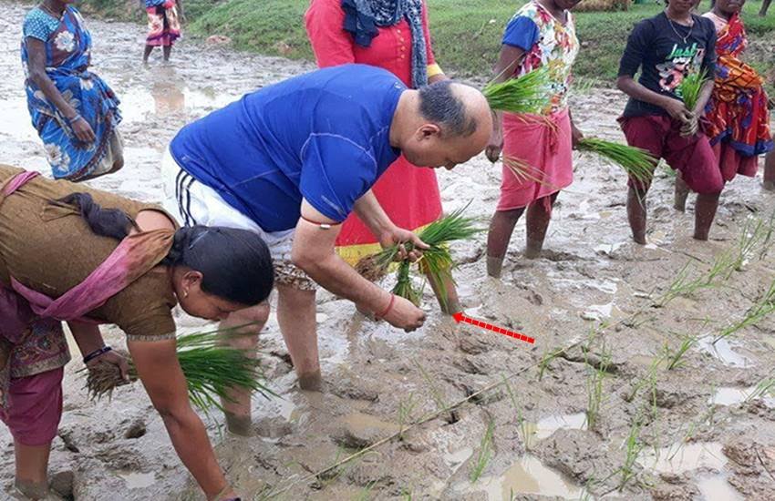 Jharkhand, Jharkhand dc, Simdega, Simdega dc, Simdega dc jata shanker, dc jata shankar, monsoon, monsoon rain, farmers, ranchi news, Hindi news, News in Hindi, Jansatta