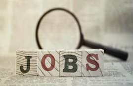 dsssb, dsssb recruitment 2018, dsssb Nursing Officer, Pharmacist, Lab Assistant recruitment, dsssb Nursing Officer, Pharmacist, Lab Assistant recruitment 2018, dsssb Nursing Officer, Pharmacist, Lab Assistant, dsssb Nursing Officer, Pharmacist, Lab Assistant, recruitment 2018, dsssb Nursing Officer, Pharmacist, Lab Assistant vacancy 2018, dsssbonline.nic.in, www.dsssbonline.nic.in, sarkari result 2018, sarkari result