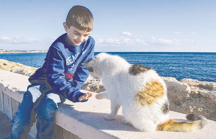 गरमी के मौसम में पसीना अधिक निकलता है, जिसकी वजह से जीवाणु जनक संक्रमण (बैक्टिरियल इंफेक्शन्स) बढ़ जाते हैं। इस मौसम में स्टैफिलोकॉकस और स्ट्रीप्टोकॉकस नामक कीटाणु अधिक सक्रिय रहते हैं। जब वे हमारे शरीर पर हमला करते हैं तो उनकी वजह से फोड़े-फुंसी होते हैं।