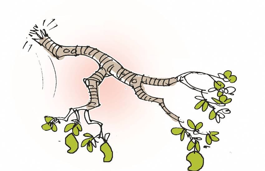 प्रतीकात्मक चित्र