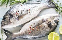 इन 5 वजहों से मानसून में नहीं खानी चाहिए मछली, हो सकते हैं दिल और सांस की बीमारी के मरीज