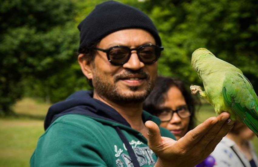 Irrfan Khan, Vishal Bhardwaj, Irrfan Khan cancer, Irrfan Khan health, Irrfan Khan treatment, Irrfan Khan news, Irrfan Khan health Irrfan Khan, Vishal Bhardwaj, Irrfan Khan cancer, Irrfan Khan health, Irrfan Khan treatment, Irrfan Khan news, Irrfan Khan health