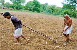 MP: 45 साल का बेटा बना बैल, 80 साल के पिता ने जोता खेत, कांग्रेस ने साधा निशाना