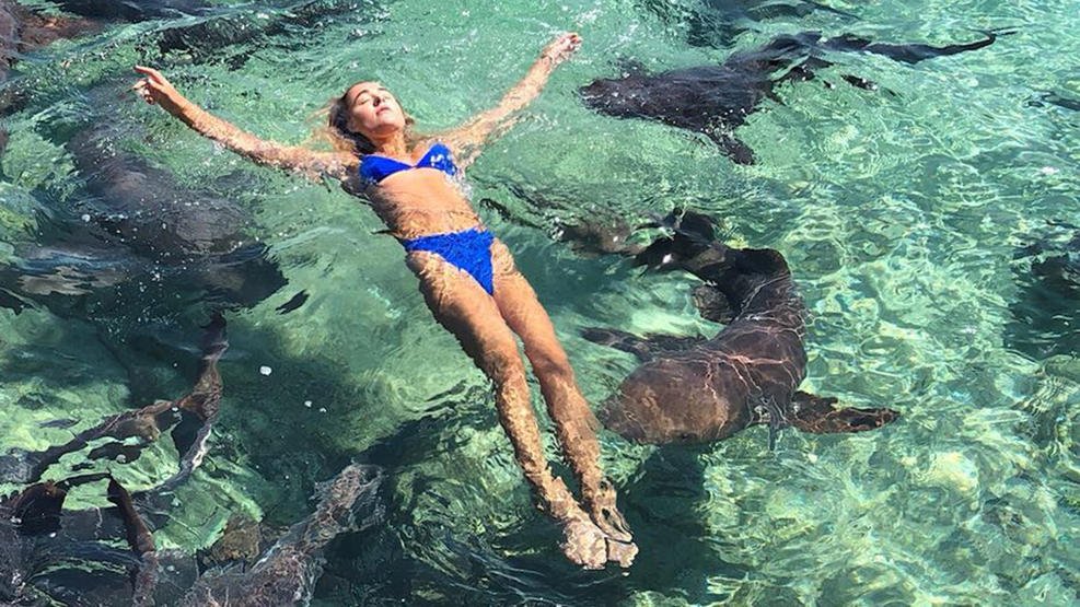 katarina Zarutskie,Bahamas,Shark attack,Instagram model,nurse shark
