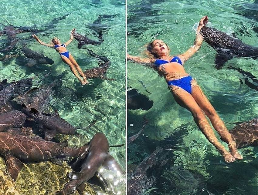 katarina Zarutskie,Bahamas,Shark attack,Instagram model,nurse shark