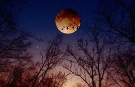 Kush Grahani Amavasya, Kush Grahani Amavasya 2018, Kush Grahani Amavasya facts, Kush Grahani Amavasya fast, Kush Grahani Amavasya importance, Kush Grahani Amavasya puja, Kush Grahani Amavasya puja vidhi, Kush Grahani Amavasya vrat, religion news