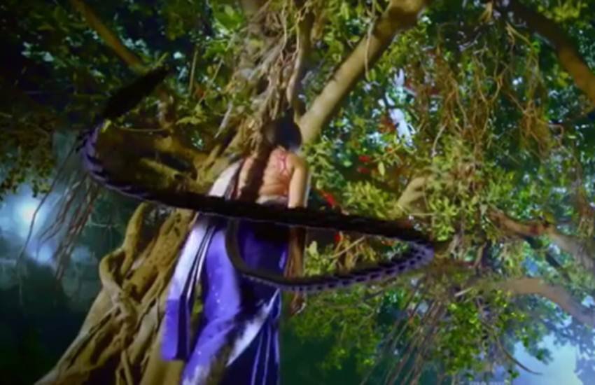 gul khan,gul khan next,harsh rajput,nazar,niyati fatnani,smita bansal, ekta kappor, ekta kapoor new show nazar, ekta kapoor nagin