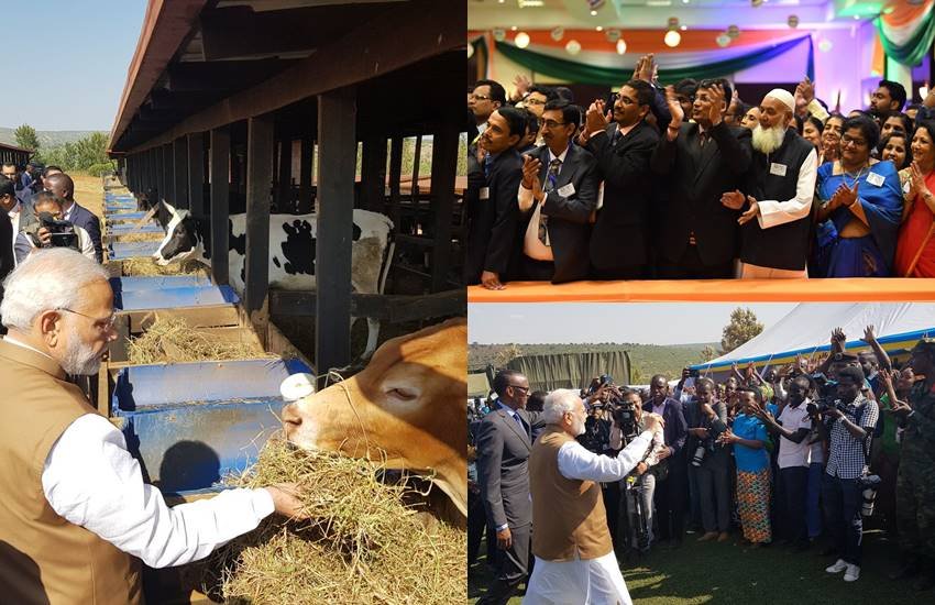 pm modi rwanda visit, pm modi donates cows, modi donates 200 cows, president paul kagame, girinka scheme, rweru model village, pm modi africa visit"