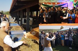pm modi rwanda visit, pm modi donates cows, modi donates 200 cows, president paul kagame, girinka scheme, rweru model village, pm modi africa visit"