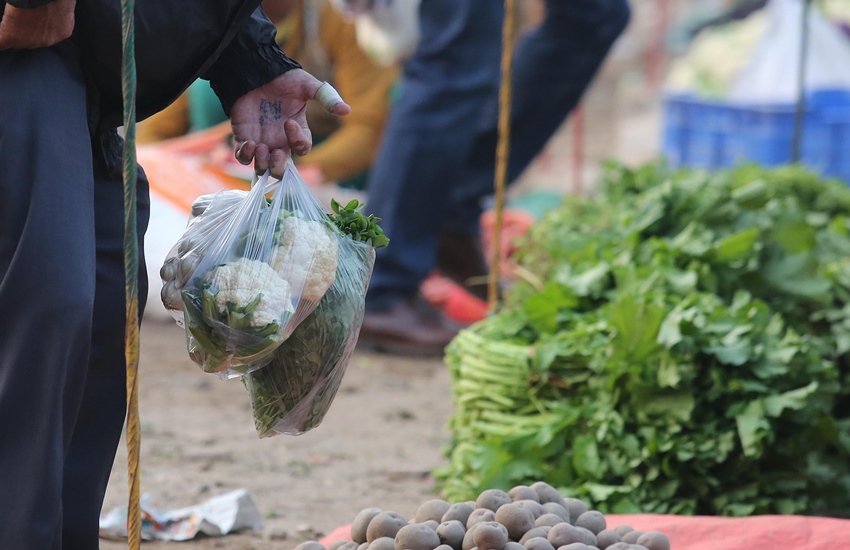 पॉलीथिन और थर्माकोल पर बैन लगा यूपी में (एक्सप्रेस आर्काइव फोटो)