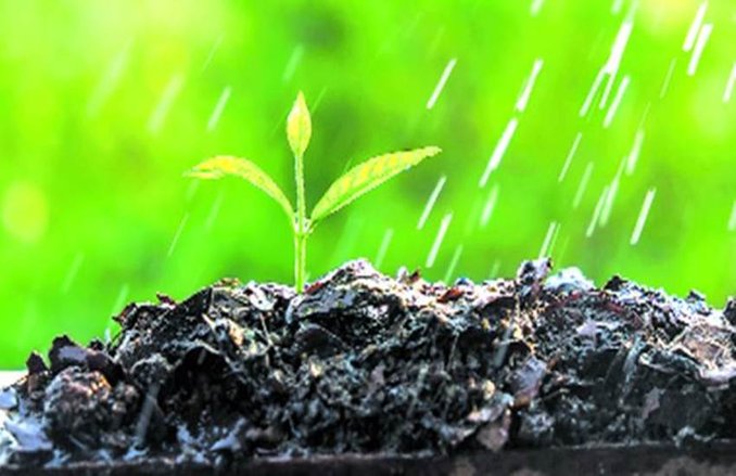 झारखंड: इस शहर में अनूठी पहल, सावन में जन्मे हर बच्चे के नाम पर एक पौधा!