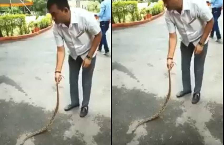 trending news, congress leader, snake trending news, congress leader, snake