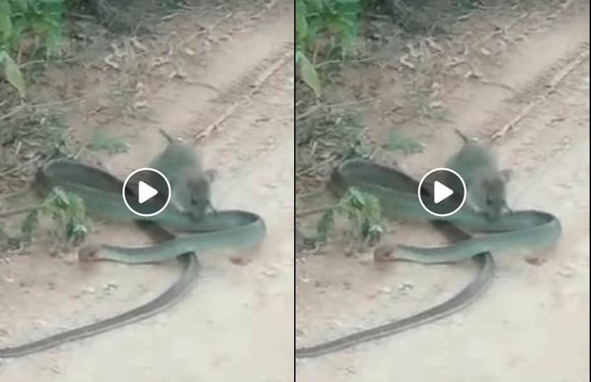 trending news trending news