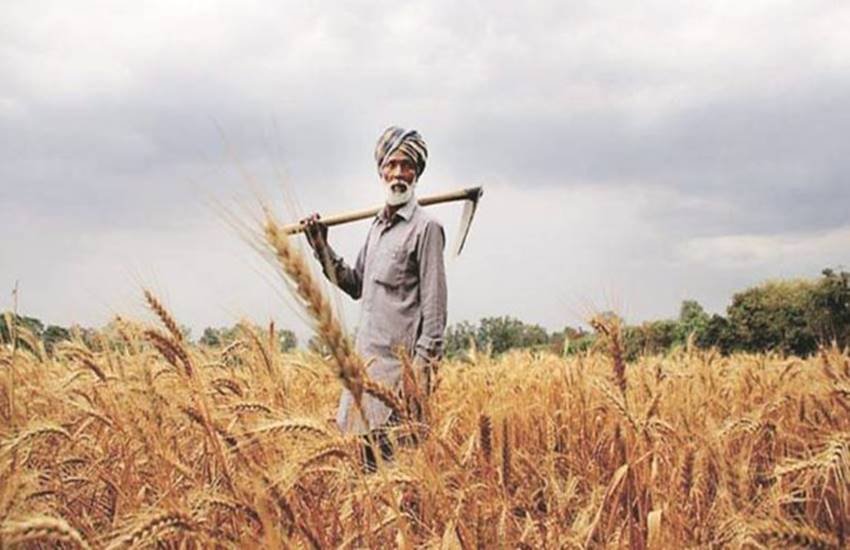 खेत में किसान। फाइल फोटो