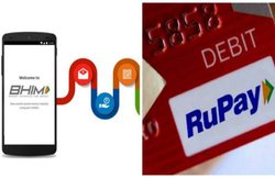 BHIM App और RuPay से पेमेंट पर 20% तक का कैशबैक, सरकार ने लिया फैसला