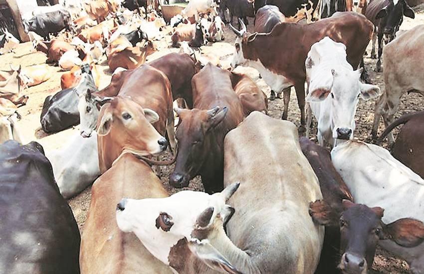 प्रतीकात्मक तस्वीर 