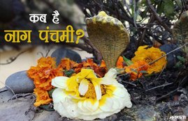 nag panchami, nag panchami 2018, nag panchami kab hai, nag panchami date, nag panchami 2018 date, nag panchami date 2018, nag panchami 2018 date in india, nag panchami kab hai india, nag panchami news