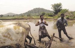 नकली जिंदगी, जानलेवा खेल