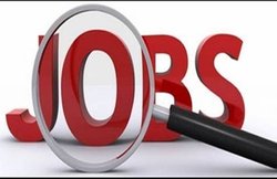 RSMSSB LDC, JA Admit Card 2018: एडमिट कार्ड जारी, यहां से डाउनलोड करें अपना प्रवेश पत्र