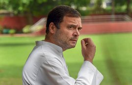 Rahul Gandhi, Congress president Rahul Gandhi, Kaukab Quadri, Bihar Congress president Kaukab Quadri, Bihar Congress, Bihar, Hindi news, News in Hindi, Jansatta