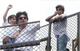 eid ul adha, eid ul adha 2018, bakra eid, bakra eid mubarak, eid, eid 2018, eid mubarak, bakra eid wishes, bakra eid images, bakra eid quotes, bakra eid messages, bakra eid special, shahrukh khan, shahrukh khan love special bakra, bakra for qurbani, shahrukh khan bought bakra from karnataka, entertainment news bollwywood news, television, entertainment news bollwywood news, television,entertainment news bollwywood news, television,entertainment news bollwywood news, television, entertainment news bollwywood news, television,entertainment news bollwywood news, television
