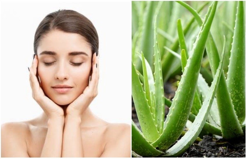 एलोवेरा में एंटी-माइक्रोबियल गुण पाया जाता है। इसकी ये खूबी कील-मुहांसों से राहत दिलाने में बहुत कारगर होती है। एलोवेरा में एंटी-माइक्रोबियल गुण पाया जाता है। इसकी ये खूबी कील-मुहांसों से राहत दिलाने में बहुत कारगर होती है।