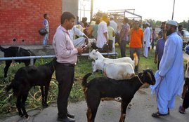 eid ul adha, eid ul adha mubarak, eid ul adha wishes, eid ul adha images, eid ul adha 2018, eid ul adha mubarak, eid ul adha date, eid, eid 2018, bakra eid, bakra eid, bakra eid 2018, bakra eid mubarak, bakra eid mubarak images, bakra eid mubarak wishes, eid mubarak, eid mubarak wishes