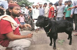 bakra eid