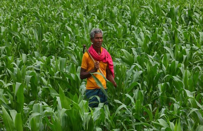 प्रतीकात्मक तस्वीर 