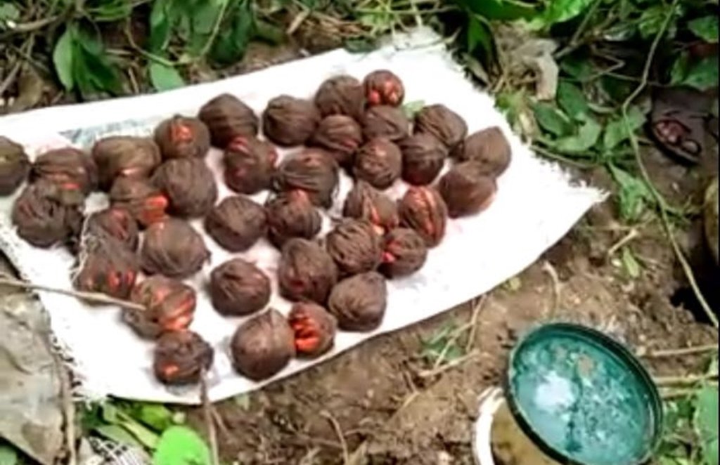मुर्शिदाबाद में 70 क्रूड बम बरामद हुए (फोटो सोर्स- एएनआई ट्विटर)