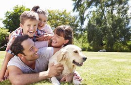 Dog, Dog and religion, Dog benefits, Dog at home, Dog importance, Dog signs, Dog and worship, Dog and astrology, Dog astrology benefits, Connection Between Dog And Astrology, religion news