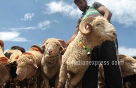 eid