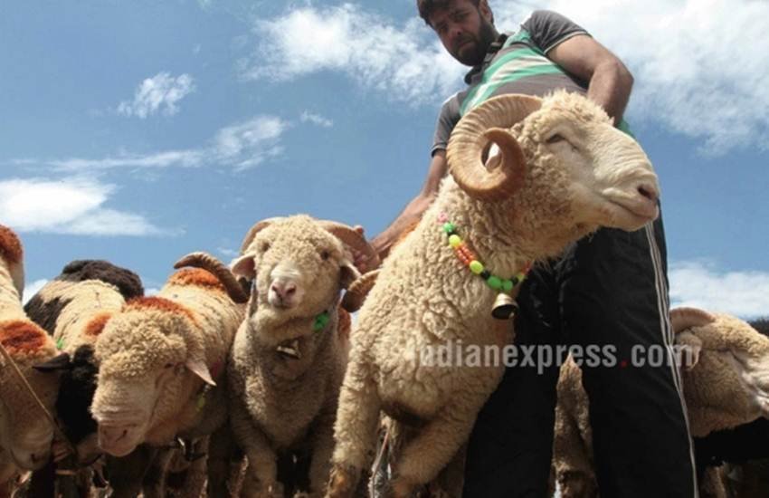 eid