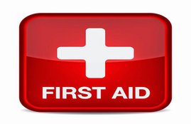 first aid, bite, animal, dog