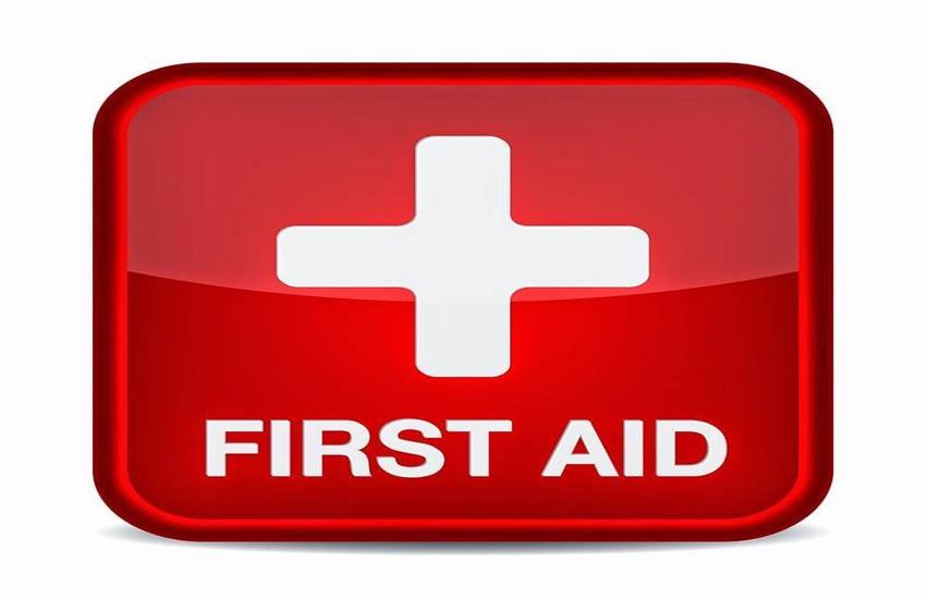 first aid, bite, animal, dog