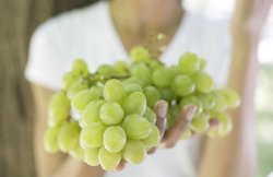 डायबिटीज में खा सकते हैं अंगूर? जानें क्या हो सकते हैं फायदे-नुकसान