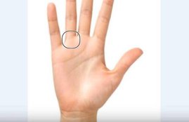 Study And Palm Lines, Study And Palm Lines facts, Study Palm Lines, Study Palm Lines facts, Study And Palm Lines religion, Palm Lines, Palm Lines and money, Palm Lines and education, religion news