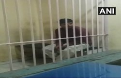 भोजपुरी एक्‍ट्रेस की पोस्‍ट पर करता था गंदे कमेंट्स, फोन पर रेप की धमकी दी, गिरफ्तार