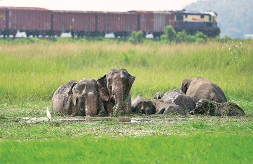 प्रतीकात्मक तस्वीर। सोर्स : जनसत्ता ऑनलाइन