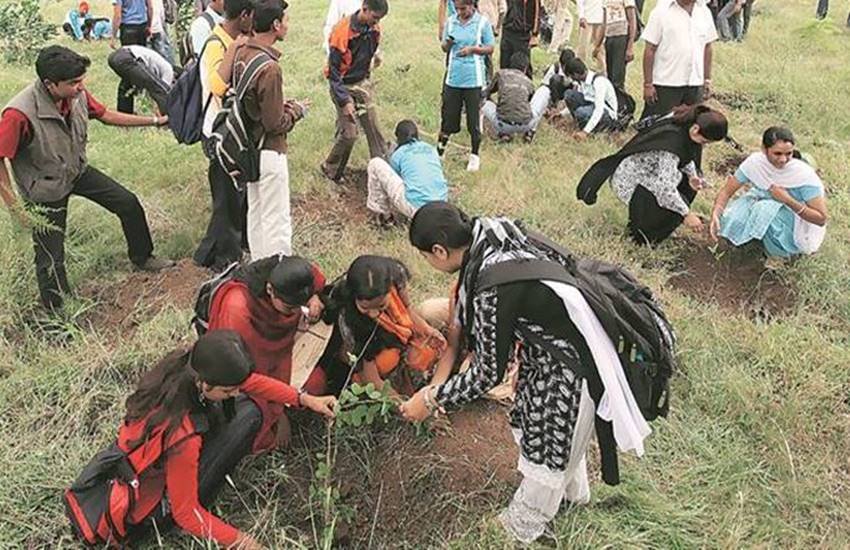 वन विभाग अधिकारियों के मुताबिक बारिश के मौसम (1 जुलाई से 30 सितंबर तक) में पूरे प्रदेश में 9.16 करोड़ पौधे रोपने का लक्ष्य रखा गया है। 